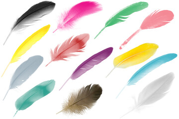 Wall Mural - Colorful collection feathers floating in air isolated on white background