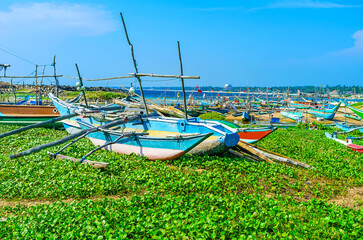 Poster - The oruwa boats among the greenery, Hikkaduwa, Sri Lanka