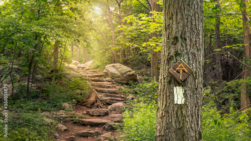 Fotomural Rock steps along the Appalachian Trail in Stokes State Forest New Jersey