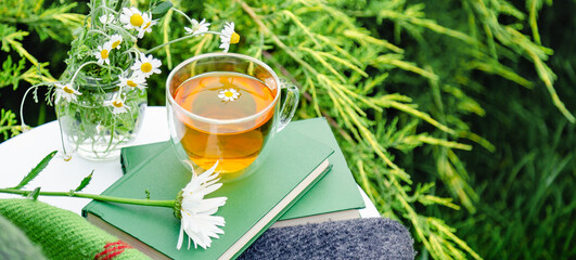 Glass cup of herbal tea with chamomile flower on books, warm green plaid, bouquet of rustic daisies on table outdoor. Cozy home, nature background in garden. Long web banner with copy space