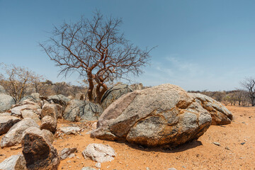 Wall Mural - stone desert in Namibia