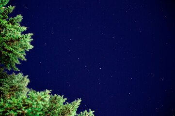 christmas tree on blue background