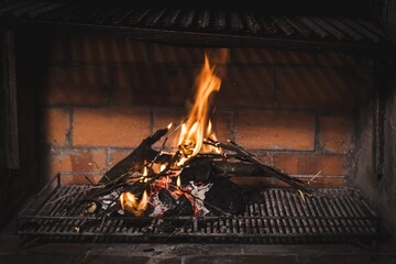 Wall Mural - Closeup shot of the flames of fire and logs of wood in an oven