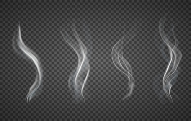 Wall Mural - assorted realistic plumes of smoke on a transparent background for design elements, vector illustrat