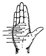 Wall Mural - Right Hand Rule, Palm, vintage illustration.