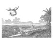 © Morphart - Battles at Porto Calvo, 1637, vintage illustration.