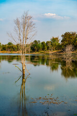 Canvas Print - Natural lake at Sa Kaeo province