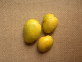 Wall Mural - Yellow color ripe whole fresh Banganapalli mangoes