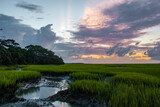 Fototapeta  - sunrise over calm marsh