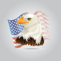 Wall Mural - usa flag with eagle