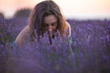 Fototapeta Lawenda - photo session made at sunset in the lavender fields of brihuega, spain.
