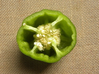 Wall Mural - Cut half of green color raw Bell pepper