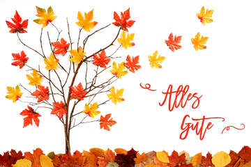 Wall Mural - branches building tree with bright colorful leaf decoration. red and yellow leaves flying away due t