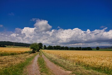 rural landscape with road