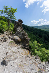 Wall Mural - Volcanic rocks (Vadallo-kovek) in the Pilis mountains