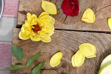 Apple Slices, Yellow And Red Roses Petals On Wooden Background