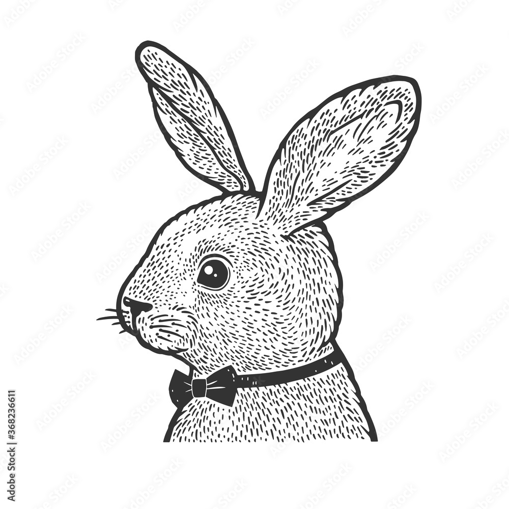 Rabbit in bow tie sketch engraving vector illustration. T-shirt apparel print design. Scratch board imitation. Black and white hand drawn image. - obrazy, fototapety, plakaty 