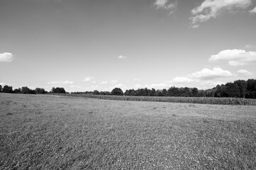 Canvas Print - Deserted fields of Germany