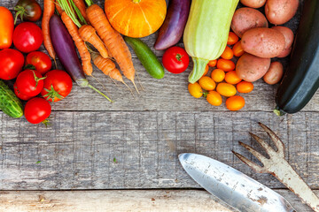 Wall Mural - Assortment different fresh organic vegetables and gardening tools on country style wooden background. Local garden produce clean food