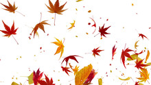 Autumn Flying Leaves Leaf 3D Illustration Background.