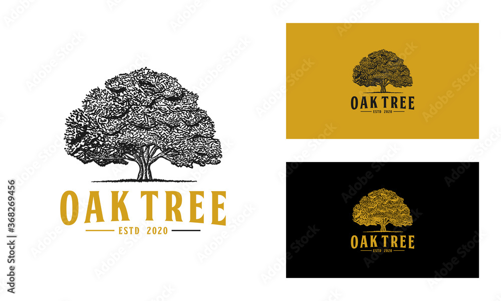 Oak tree logo design vector or hand drawn isolated Stock Vector | Adobe ...