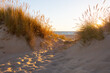 © Caro Telfer/Austockphoto - looking through dune grasses on sand dune to the ocean