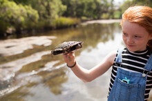 Young Girl Holding A Turtle By The River