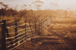 © Lisa Alexander/Austockphoto - Farm fence in golden light