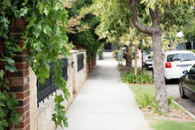 Residential Street With Trees And Fence Line