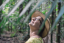 Woman Looking Up At Tall Trees In Rainforest