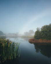 Misty Morning Beside A River With Calm Water, Reeds And Trees