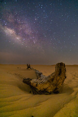 Wall Mural - milky way galaxy with stars on a night sky background.The Milky Way is the galaxy that contains our Solar System in abu dhabi united arab emirates