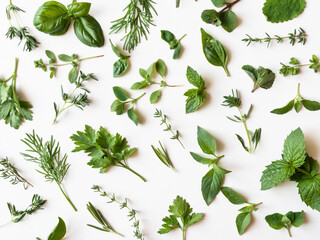 Flat-lay of various fresh green kitchen herbs. Parsley, mint, dill, basil, marjoram, thyme on white background, top view. Spring or summer healthy vegan cooking concept. copy space