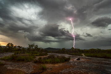 Wall Mural - Lightning strike in the bush