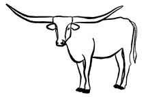 Black And White Texas Longhorn Bull Free Stock Photo - Public Domain ...