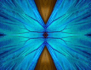 Aufkleber - Wings of a butterfly Morpho. Wings of a butterfly texture background. Butterfly wings ornament.	