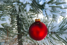 A Single Red Christmas Ornament Hangs In A Pine Tree Outdoors After A Fresh Snowfall. Fresh Snowflakes Are On The Pine Needles And The Ornament.