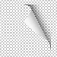 Wall Mural - Vector page with upper right curl with shadow on blank transparent sheet of paper