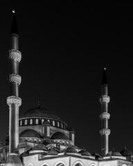 Wall Mural - light festival in Sharjah big mosque at night time 