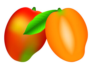 Wall Mural - Whole ripe mango and half with bone isolated on white background.