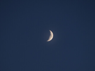 Wall Mural - first quarter moon seen with telescope