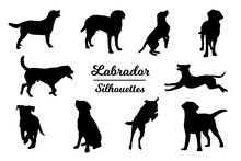Labrador Dog Silhouettes. Black And White Outline