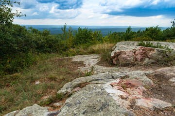 Appalachian Mountain Pine