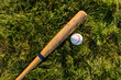 Baseball and baseball bat on grass field.