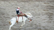 Traditional Rodeo show at Wyoming, USA