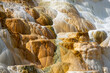 Closeup view of Mammoth Hot springs in Yellowstone National Park, Wyoming, USA