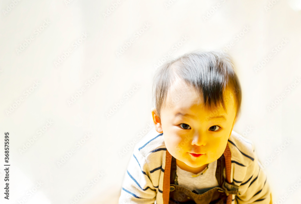 ハイハイしてカメラに近づいてくるかめら目線のかわいい赤ちゃんとコピースペース Wall Mural Minianne