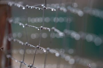chain link fence after the rain
