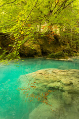 Wall Mural - Source of Urederra river in Baquedano, Navarre, Spain.