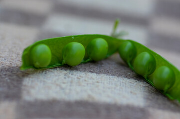 Pisum sativum pea green fruits in gree pods on brown background, tasty ripened sweet summer fruit, harvesting time